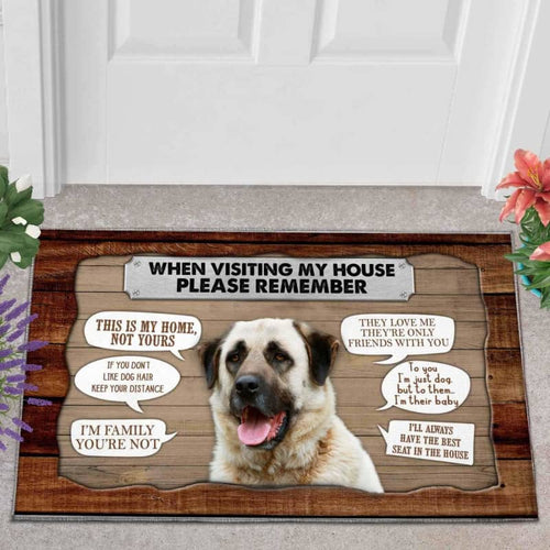 Dog moms doormat -Anatolian Shepherd 1 Visiting My House Doormat