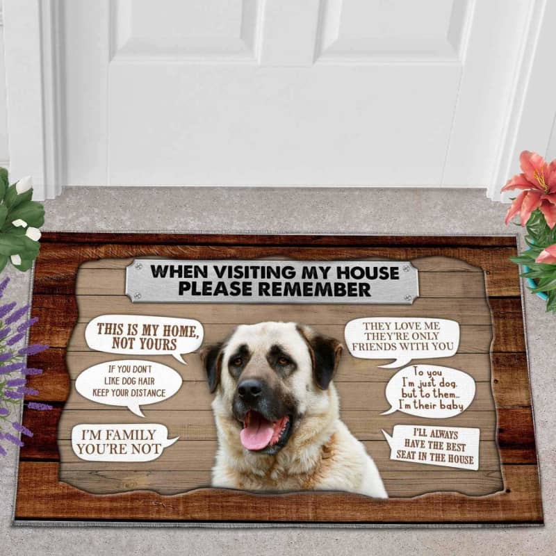 Dog moms doormat -Anatolian Shepherd 1 Visiting My House Doormat