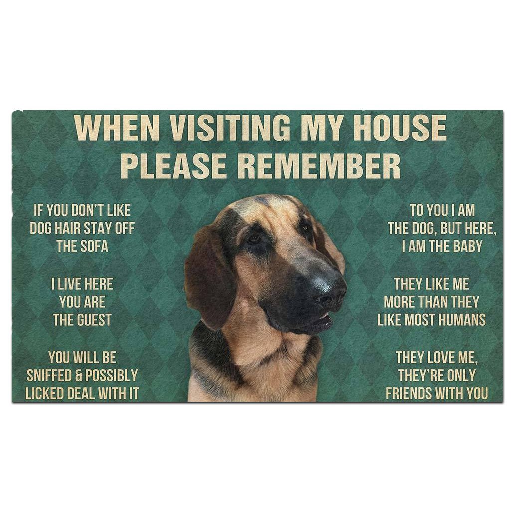 Dog's Rules Doormat