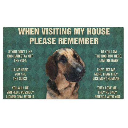Dog's Rules Doormat