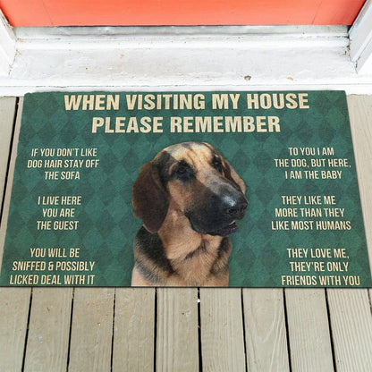 Dog's Rules Doormat