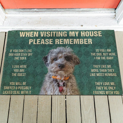 Dog's Rules Doormat