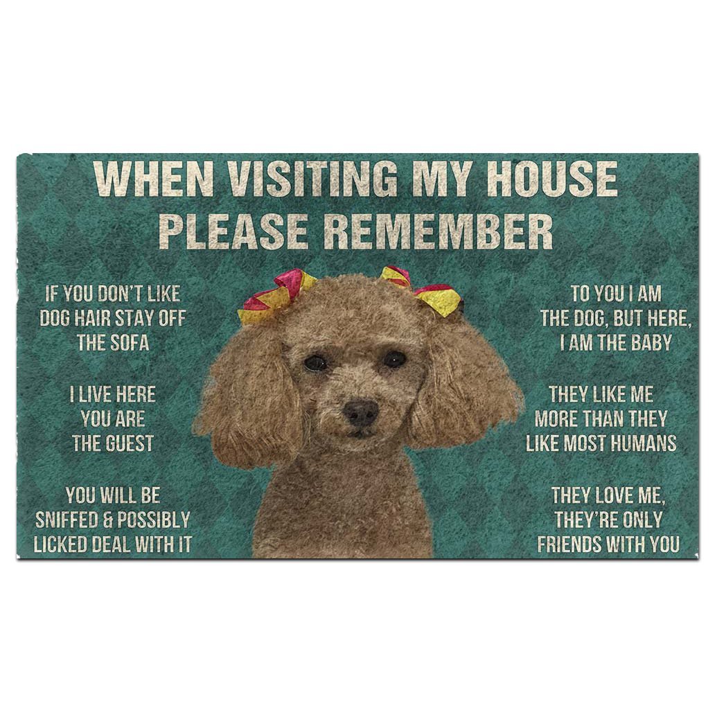 Dog's Rules Doormat