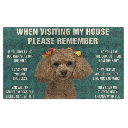 Dog's Rules Doormat