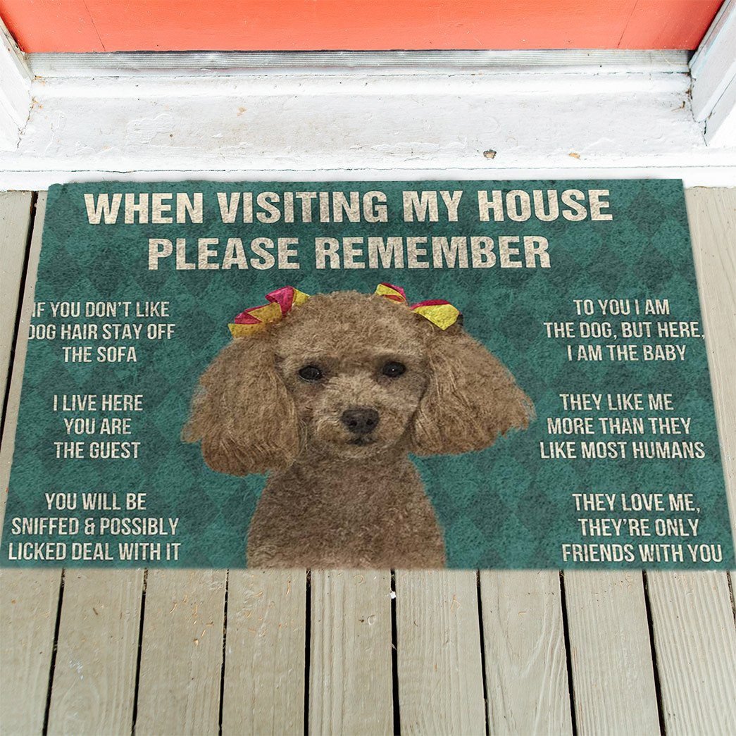Dog's Rules Doormat