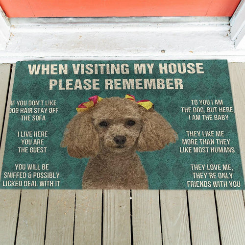 Dog's Rules Doormat