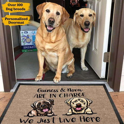 Dogs Are In Charge We Just Live Here Doormat, Dog Lover Gift