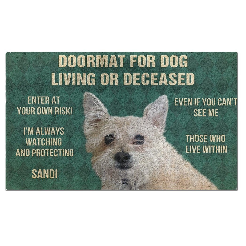 Dog's Rules Doormat