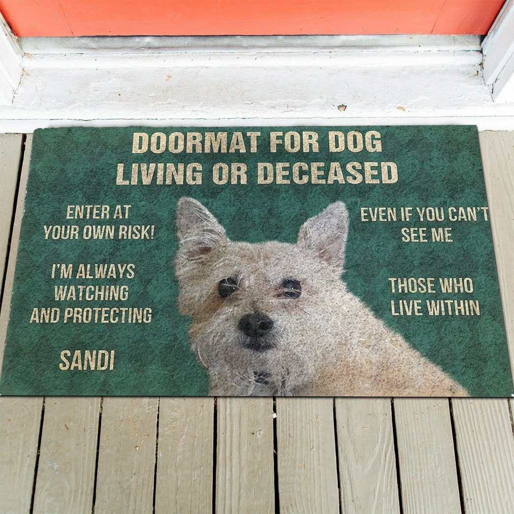Dog's Rules Doormat