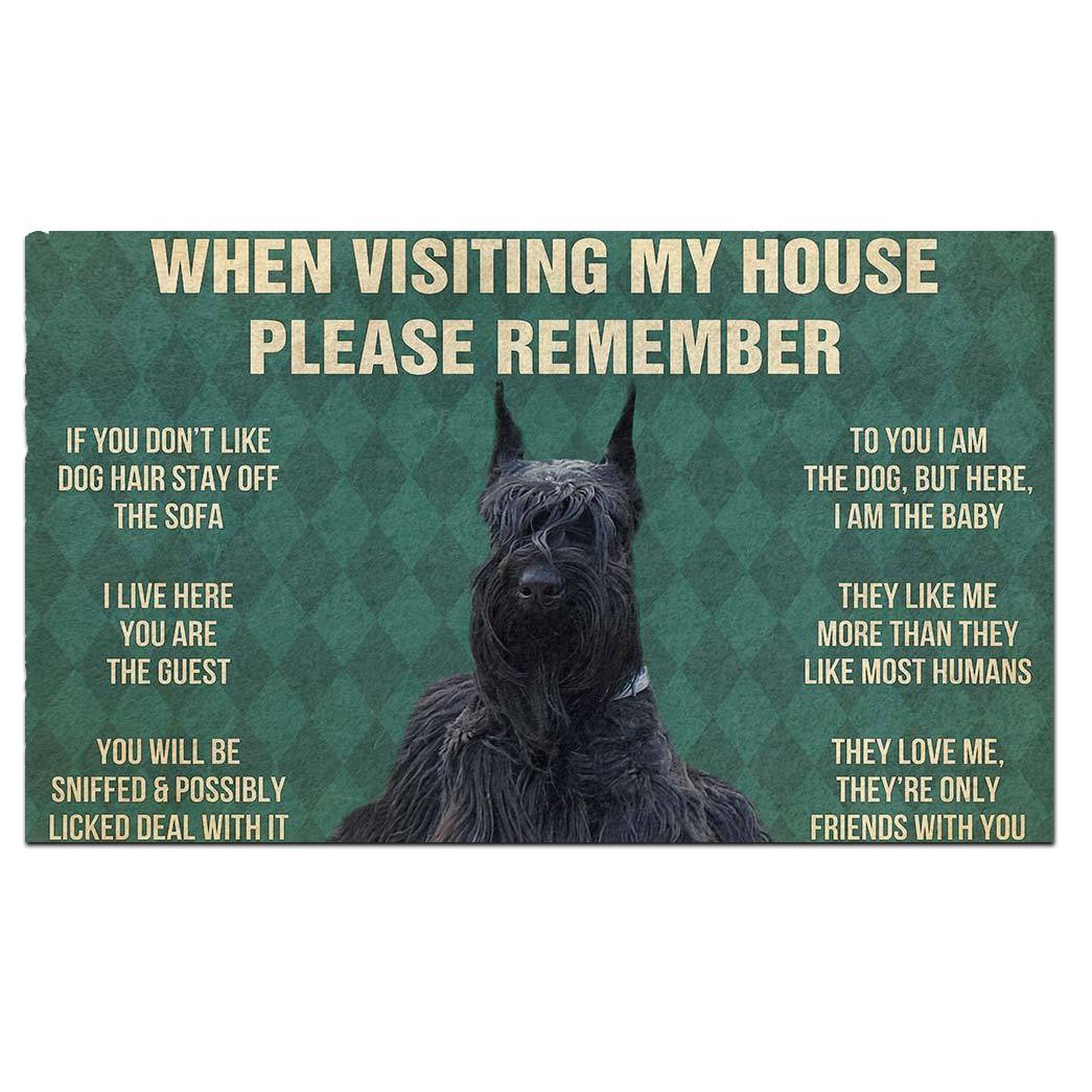 Dog's Rules Doormat
