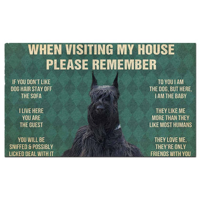 Dog's Rules Doormat