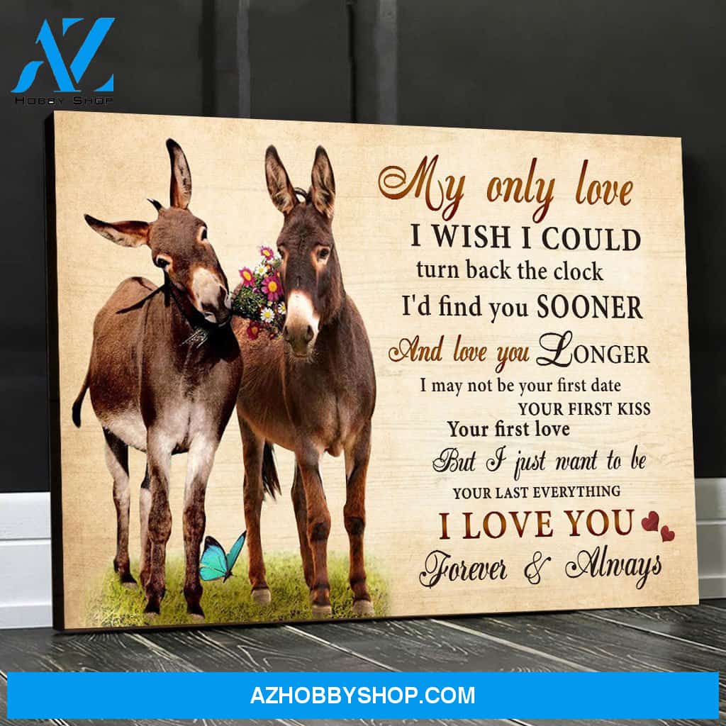Donkey My Only Love I Wish I could Turn Back The Clock Valentine Canvas Wall Art, Wall Decor Visual Art