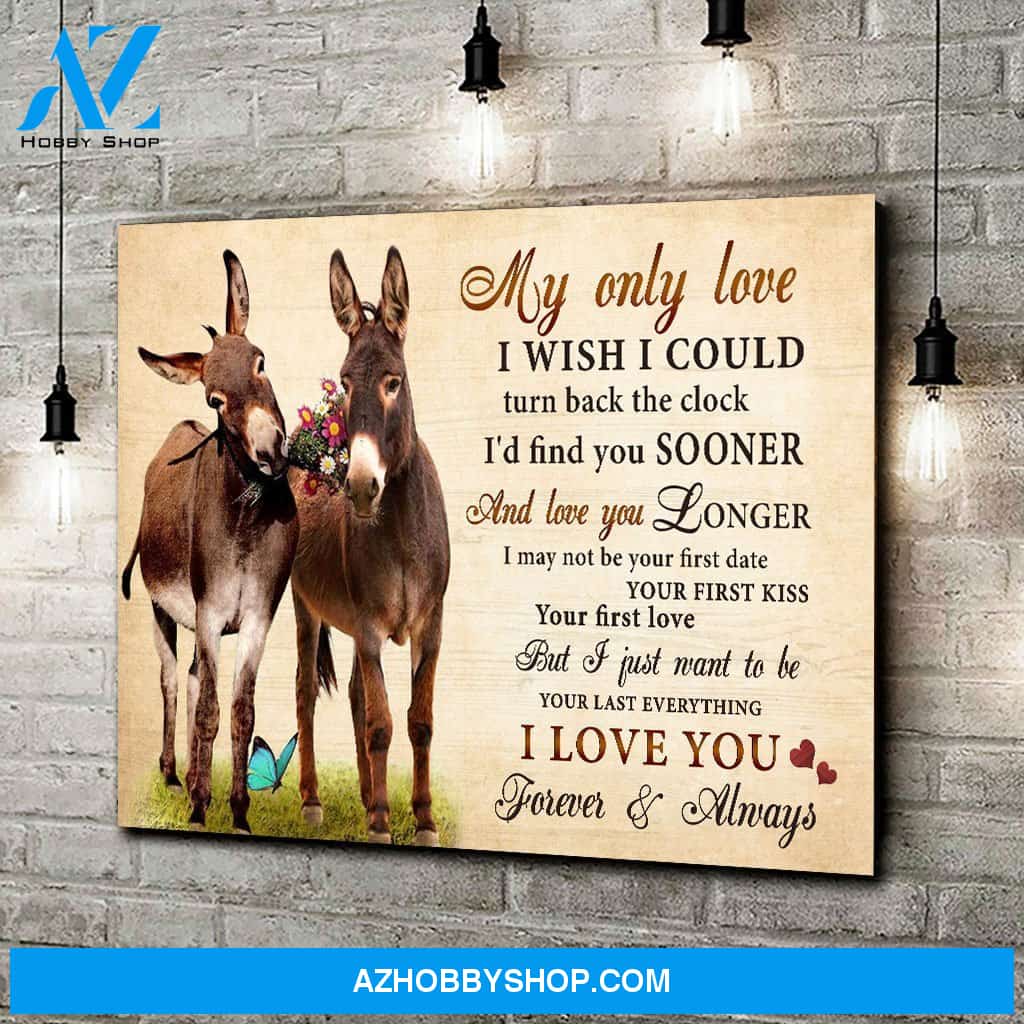 Donkey My Only Love I Wish I could Turn Back The Clock Valentine Canvas Wall Art, Wall Decor Visual Art