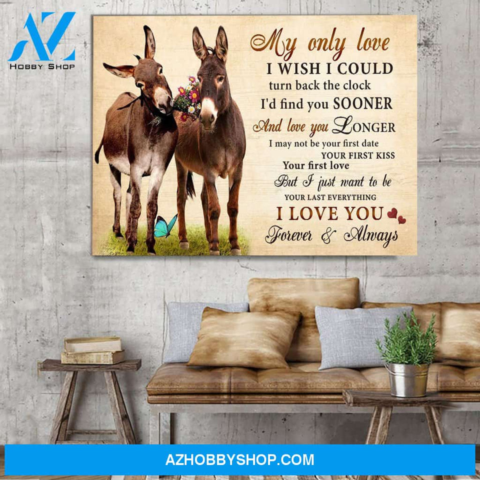 Donkey My Only Love I Wish I could Turn Back The Clock Valentine Canvas Wall Art, Wall Decor Visual Art
