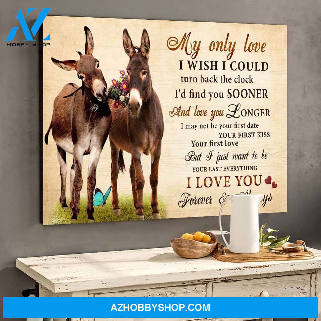 Donkey My Only Love I Wish I could Turn Back The Clock Valentine Canvas Wall Art, Wall Decor Visual Art