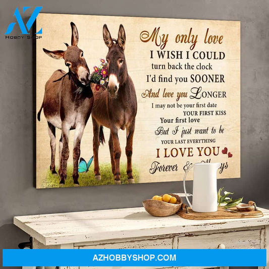 Donkey My Only Love I Wish I could Turn Back The Clock Valentine Canvas Wall Art, Wall Decor Visual Art