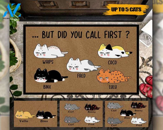 Doormat, Cat Custom Doormat, Did You Call First, Personalized Gift, Home Decor, Personalized Doormat, Lazy Cat, Gifts For Cat Lover