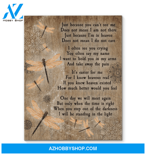 Dragonfly Just Because You Can'T See Me Framed Canvas