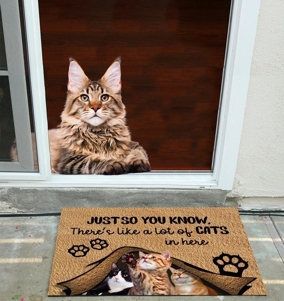 Just So You Know There's Like A Lot Of Cats In Here Doormat | Colorful | Size 8x27'' 24x36''