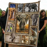 Elephant Blanket - - Blanket