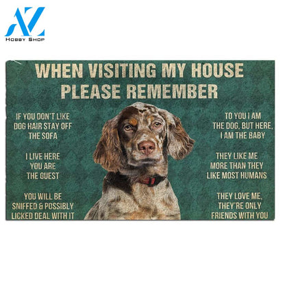 English Setter's Rules Doormat