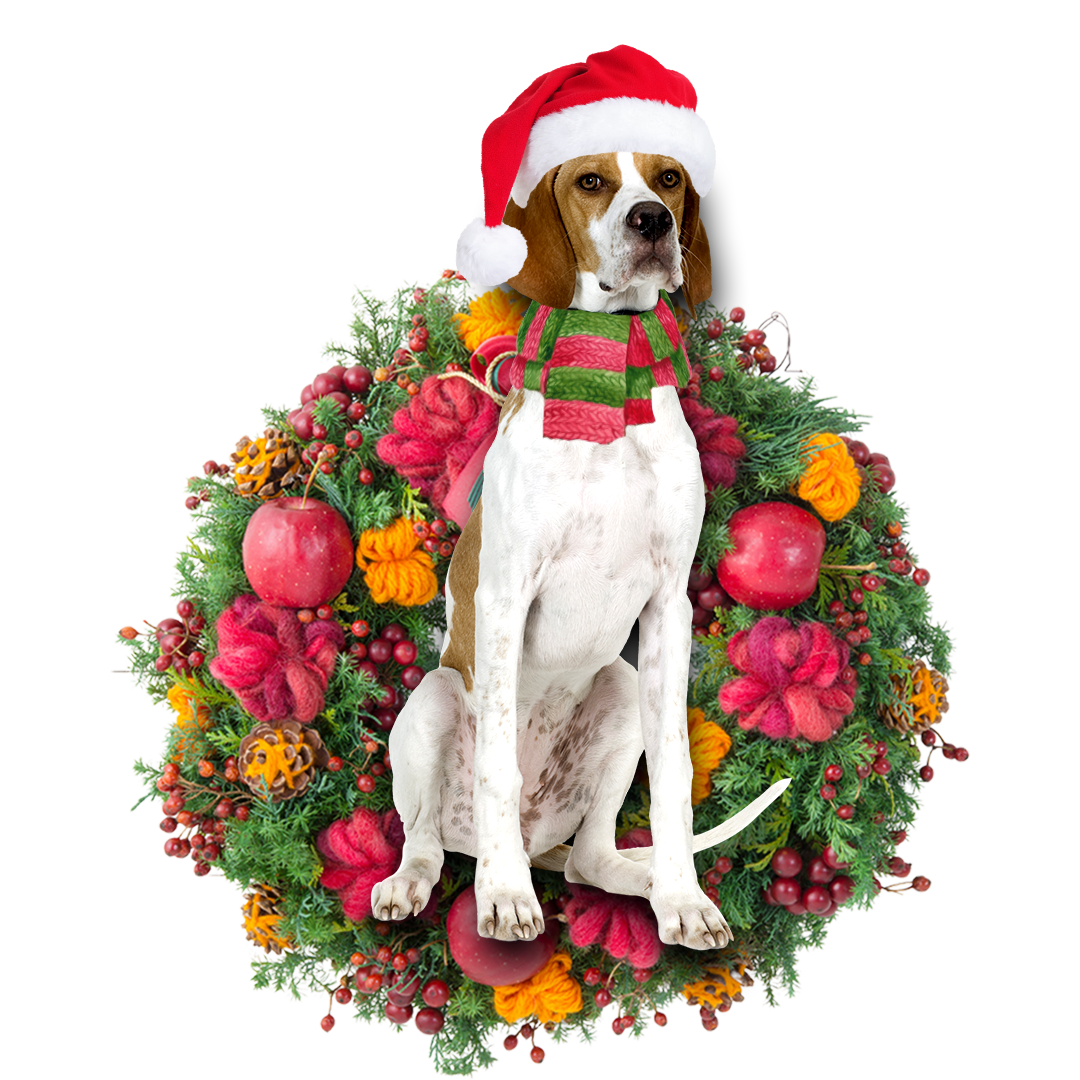 Godmerch- Ornament- English Pointer Christmas Ornament, Happy Christmas Ornament, Car Ornament