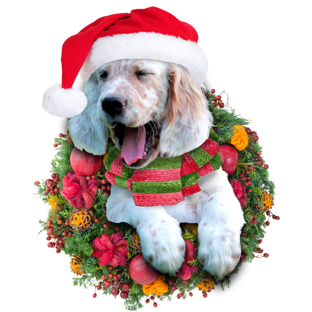 Godmerch- Ornament- English Setter Christmas Ornament, Happy Christmas Ornament, Car Ornament