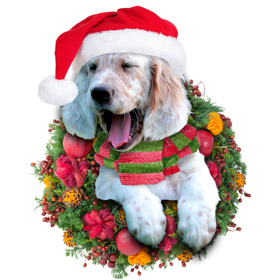 Godmerch- Ornament- English Setter Christmas Ornament, Happy Christmas Ornament, Car Ornament