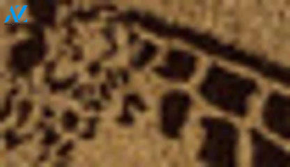 Entryways Giraffe Handwoven Coconut Fiber Doormat Brow