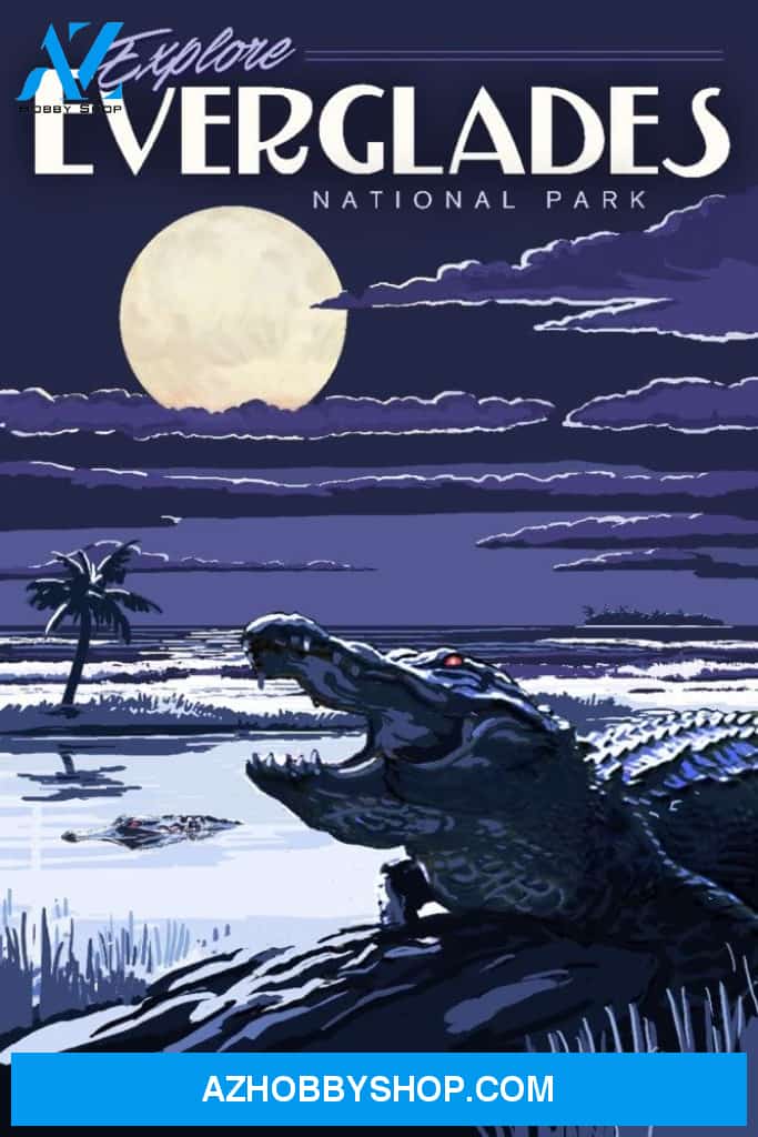 Everglades National Park Night Gator