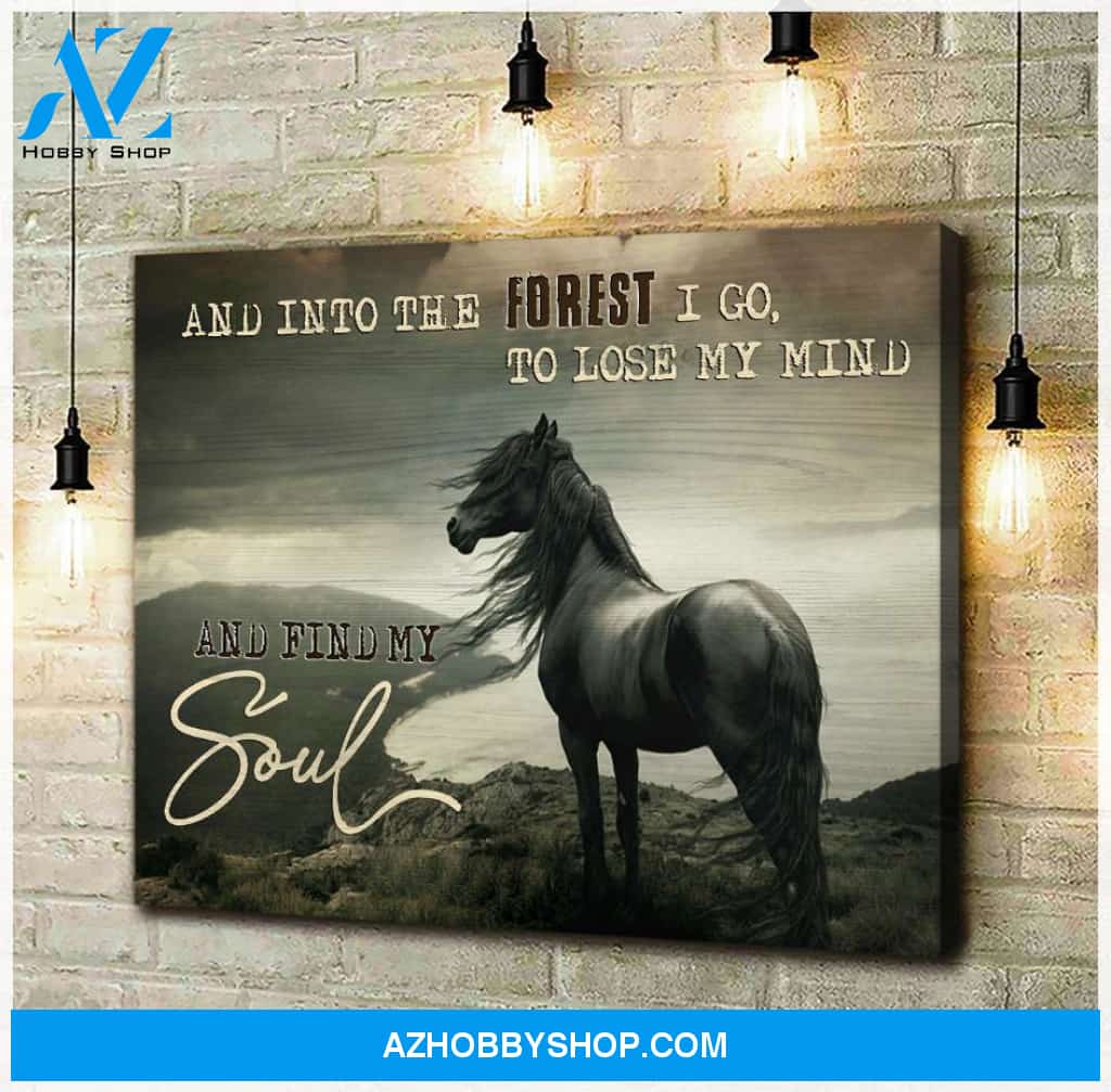 Find My Soul Horse Wall Art Canvas, Wall Decor Visual Art