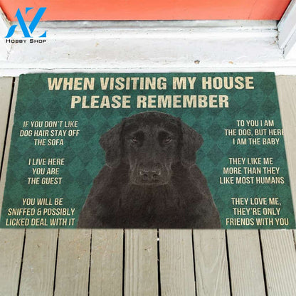 Flat Coated Retriever's Rules Doormat