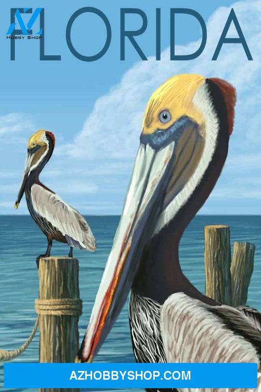 Florida Brown Pelicans