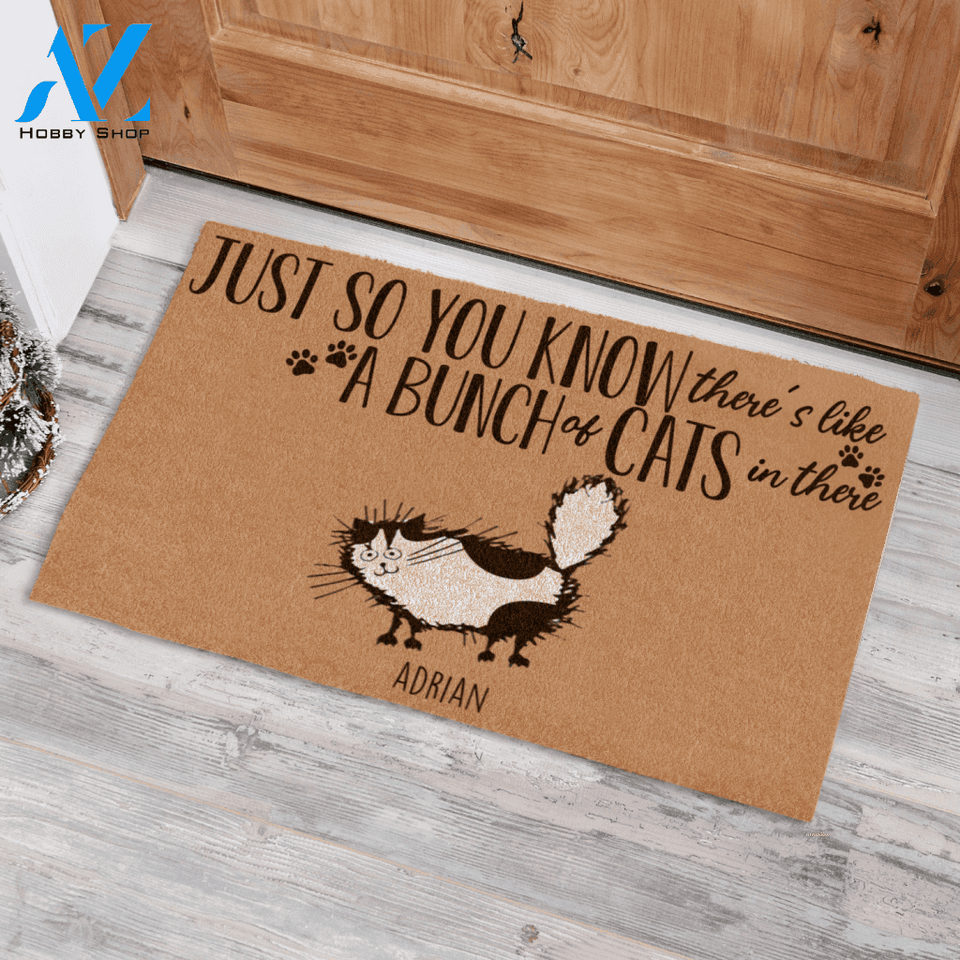 Fluffy Cat , Just So You Know There's Like A Bunch Of Cats In There Personalized Doormat HQ