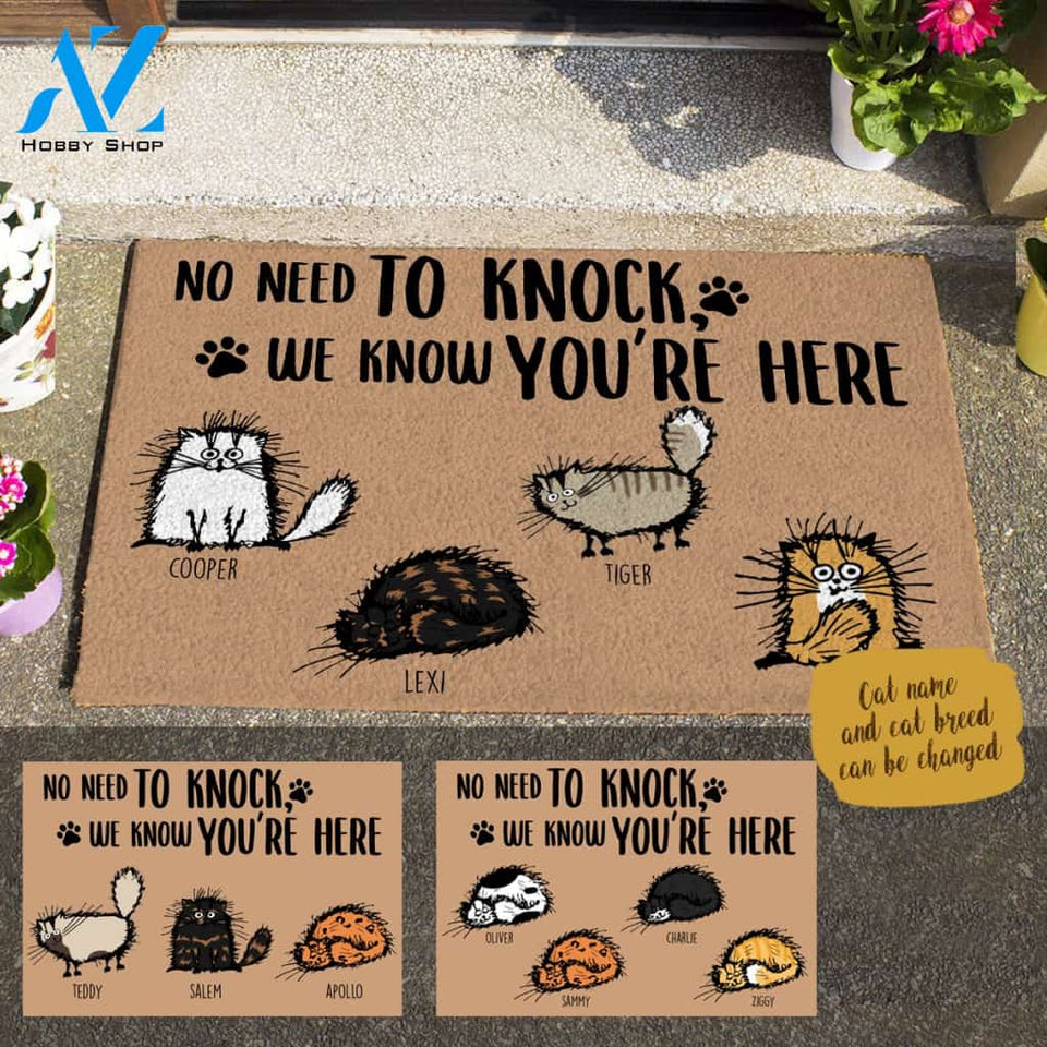 Fluffy Cat, No Need To Knock We Know You Are Here Personalized Doormat HQ