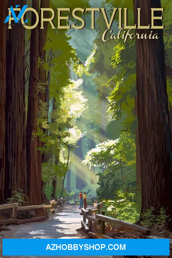 Forestville California Pathway In Redwood Trees Forest