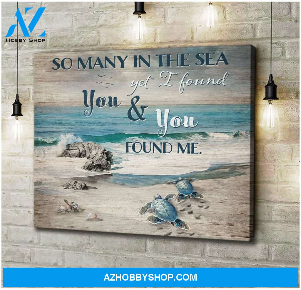 Found Me Turtle Wall Art Canvas