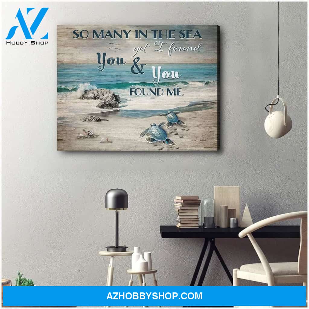 Found Me Turtle Wall Art Canvas