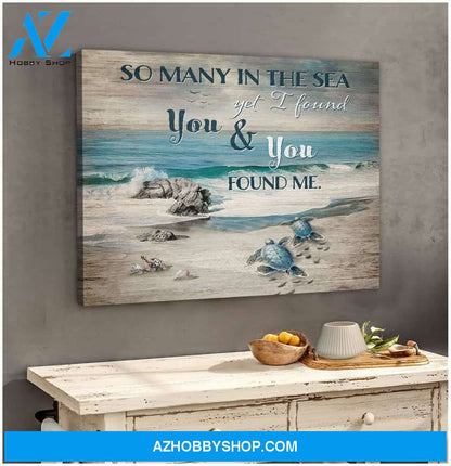 Found Me Turtle Wall Art Canvas