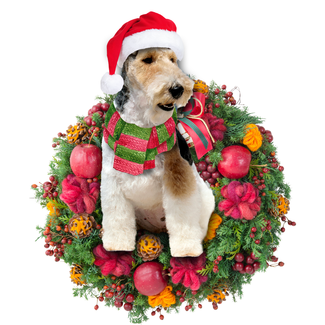 Godmerch- Ornament- Fox Terrier Christmas Ornament, Happy Christmas Ornament, Car Ornament