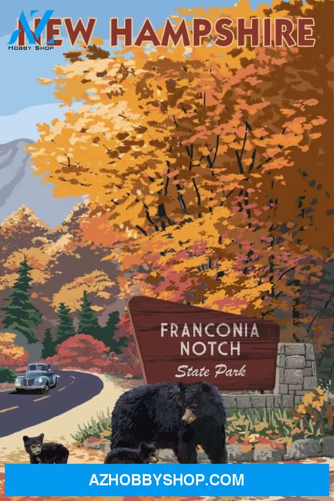 Franconia Notch State Park New Hampshire - Bear Family And Fall Colors