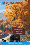 Franconia Notch State Park New Hampshire - Bear Family And Fall Colors