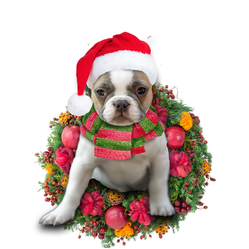 Godmerch- Ornament- French Bulldog Christmas Ornament, Happy Christmas Ornament, Car Ornament