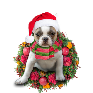 Godmerch- Ornament- French Bulldog Christmas Ornament, Happy Christmas Ornament, Car Ornament