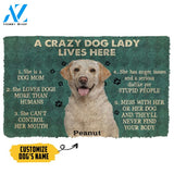 Gearhumans 3D A Crazy Dog Lady Lives Here Labrador Retriever Custom Name Doormat