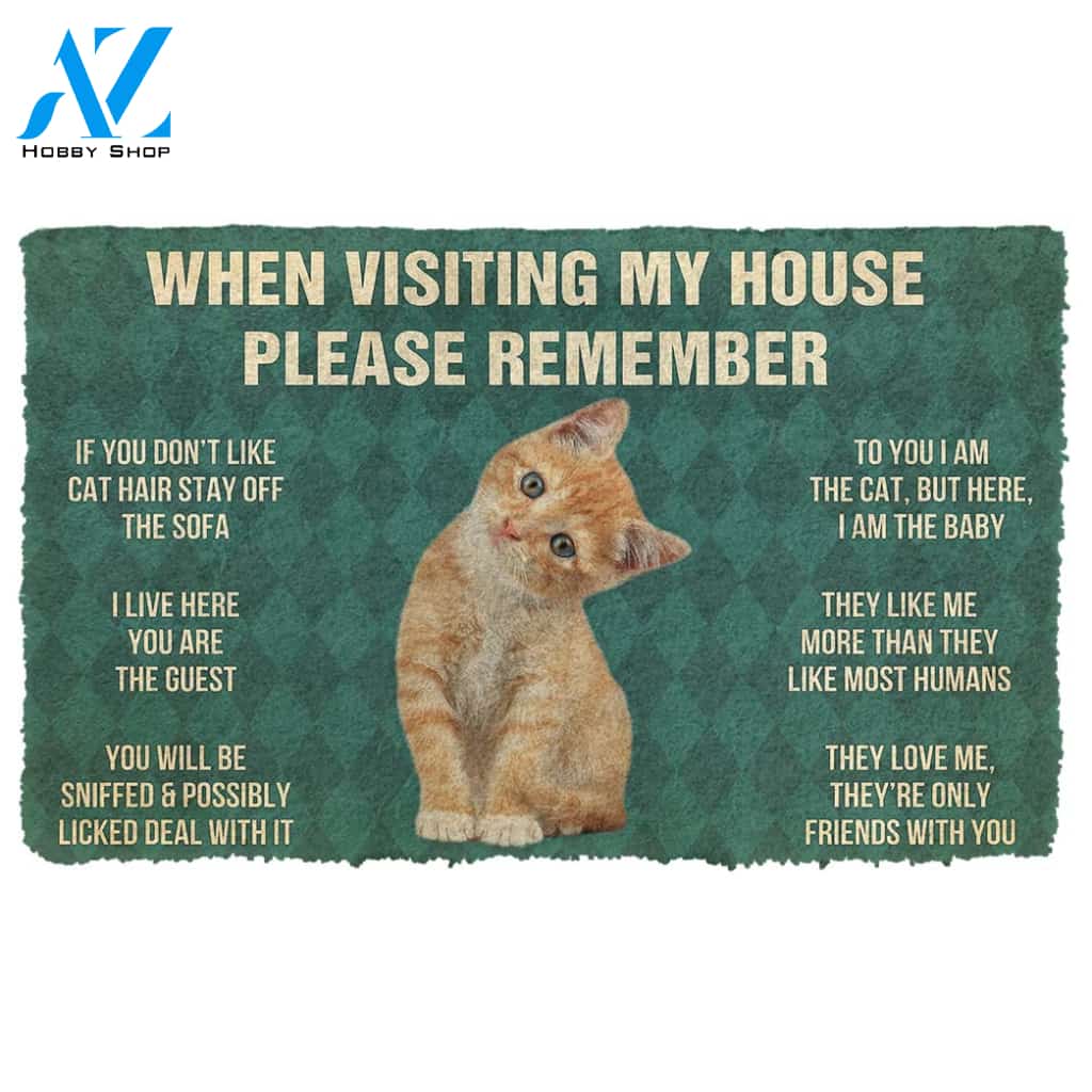 Gearhumans  Gearhuman 3D Please Remember Orange Tabby Kitten Cats House Rules Custom Doormat