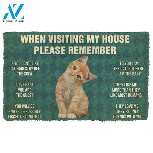Gearhumans  Gearhuman 3D Please Remember Orange Tabby Kitten Cats House Rules Custom Doormat