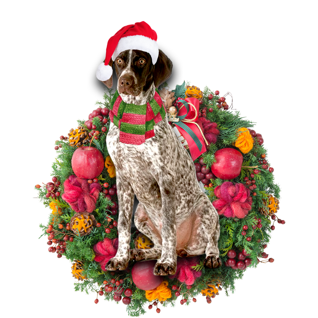 Godmerch- Ornament- German Shorthaired Pointer Christmas Ornament, Happy Christmas Ornament, Car Ornament