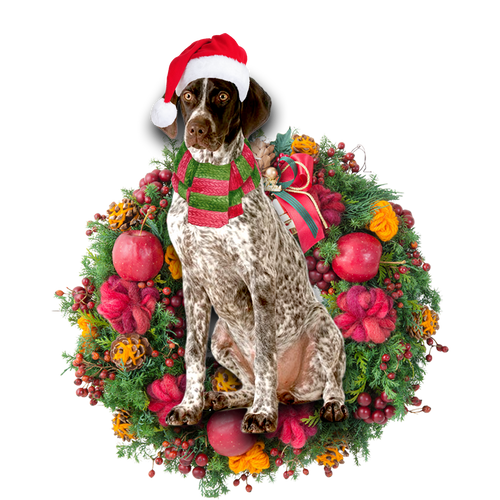 Godmerch- Ornament- German Shorthaired Pointer Christmas Ornament, Happy Christmas Ornament, Car Ornament