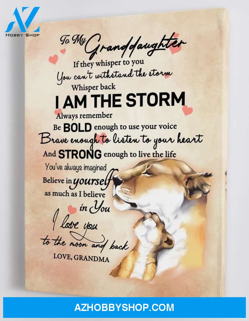Gift for Granddaughter from Grandma - Lion Cub & Mom - I am the Storm - Framed Canvas Gift GMD031